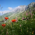 Mountain Emilia Apartmán *