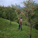 Apartmán Mountain Emilia *