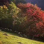 Apartmán Mountain Emilia *