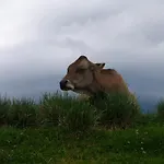 Mountain Emilia Kobarid