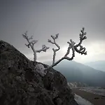 Mountain Emilia Kobarid
