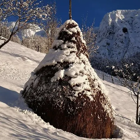 Mountain Emilia Apartman *