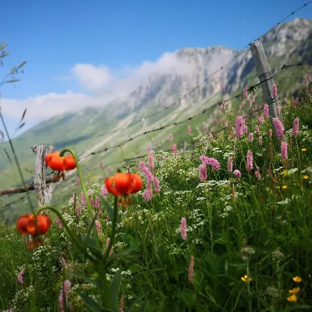 Mountain Emilia Apartman *