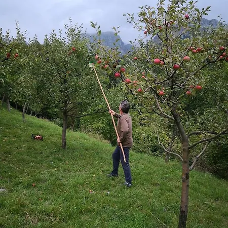 Apartamento Mountain Emilia *