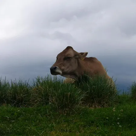 Mountain Emilia Kobarid