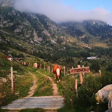 Апартаменты Mountain Emilia Кобарид