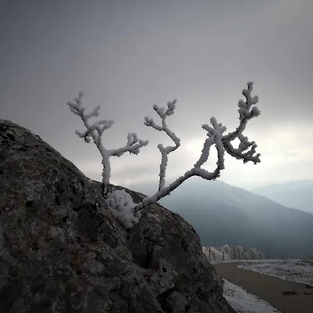 Mountain Emilia Kobarid