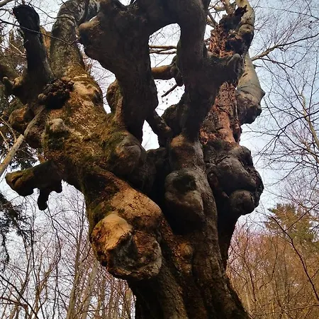 Apartamento Mountain Emilia