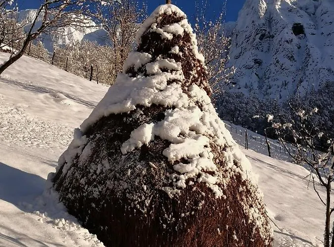 Mountain Emilia Appartement *