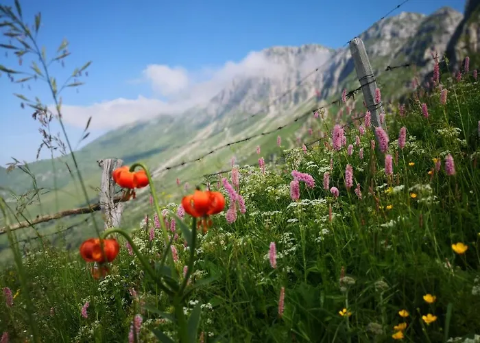 Mountain Emilia Appartamento *