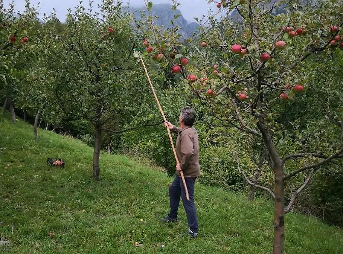 Apartamento Mountain Emilia *