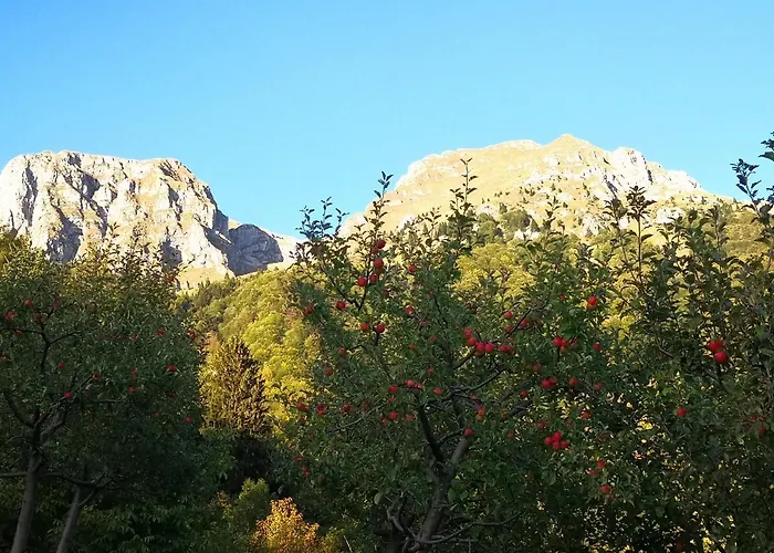 Apartmán Mountain Emilia *