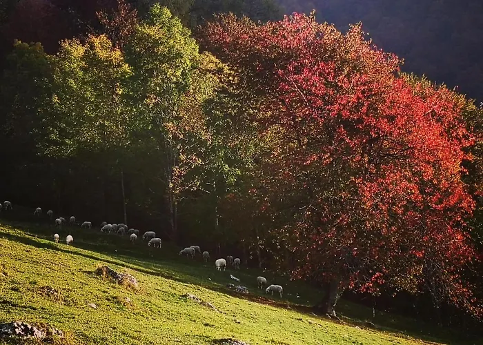 Appartamento Mountain Emilia *