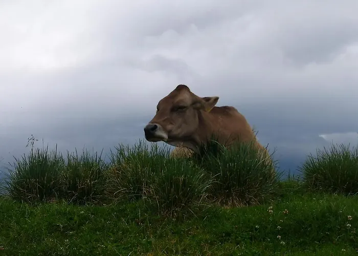 Mountain Emilia Kobarid