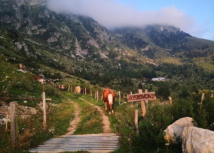 Appartement Mountain Emilia Kobarid