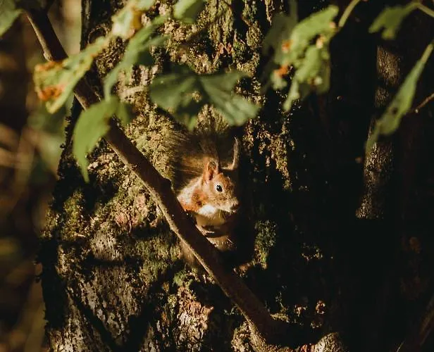 Mountain Emilia Appartamento