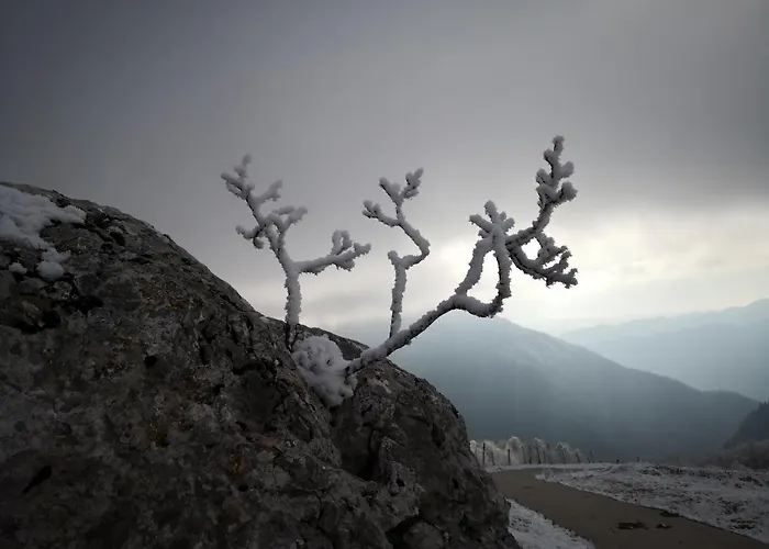 Mountain Emilia Kobarid