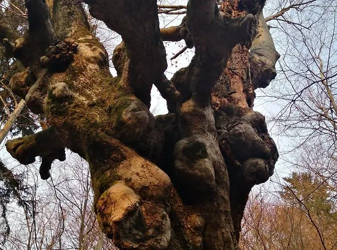 Appartement Mountain Emilia